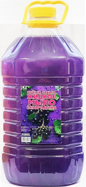 Oasis мыло жидкое Смородина 5л